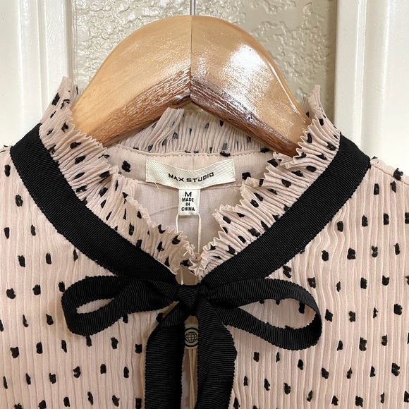 Beautiful Max Studio Blush & Black High Collared Blouse - Picture 3 of 9